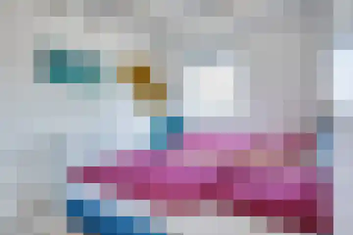 Schoneveld 4 Breskens thumbnail 23