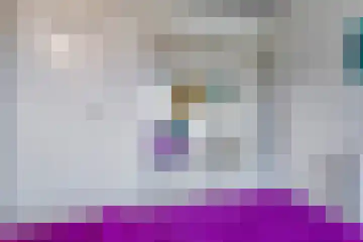 Schoneveld 4 Breskens thumbnail 24