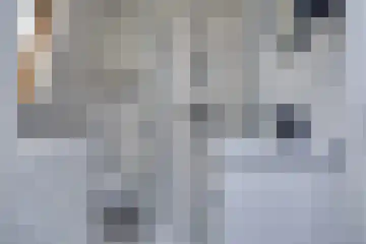 Schoneveld 4 Breskens thumbnail 25