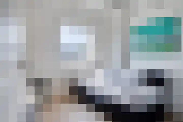 Schoneveld 4 Breskens thumbnail 26