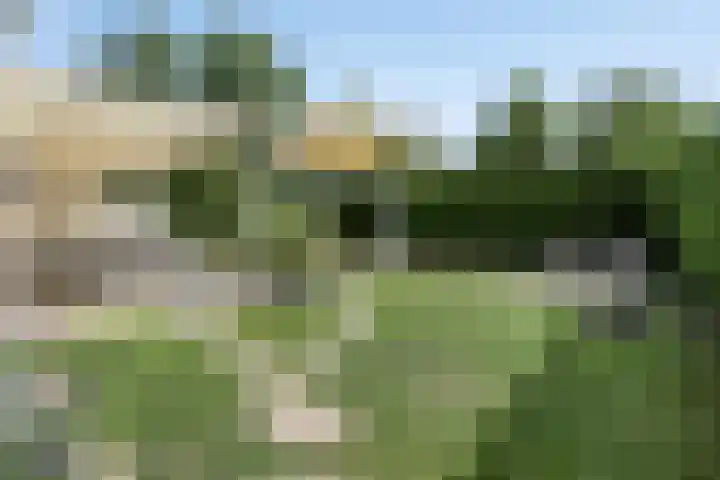 Schoneveld 4 Breskens thumbnail 28