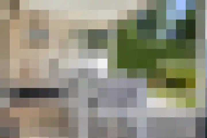 Schoneveld 4 Breskens thumbnail 29
