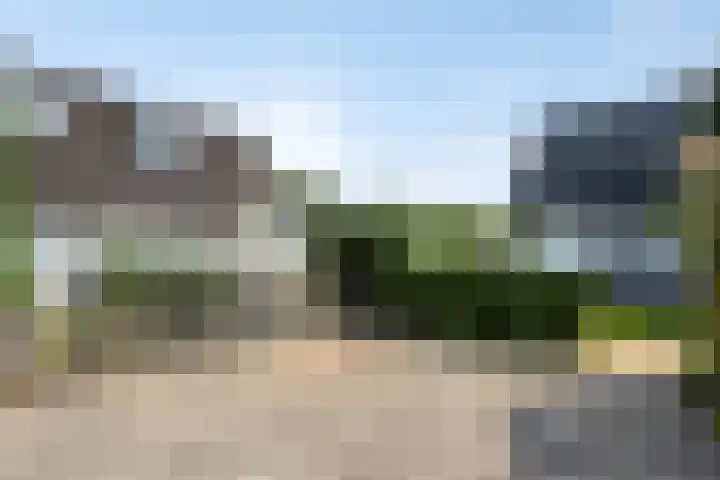 Schoneveld 4 Breskens foto 3