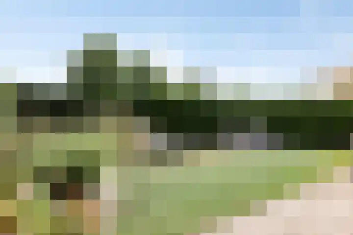 Schoneveld 4 Breskens thumbnail 31