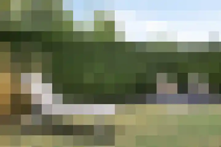 Schoneveld 4 Breskens thumbnail 32