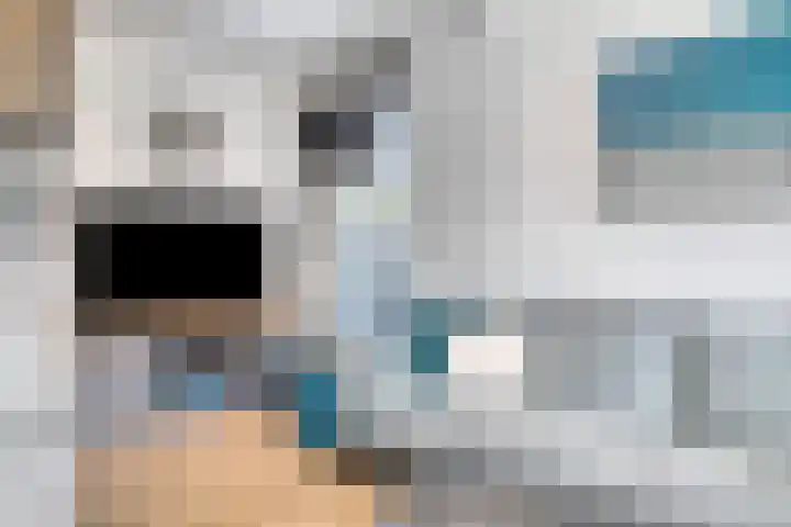 Schoneveld 4 Breskens thumbnail 6