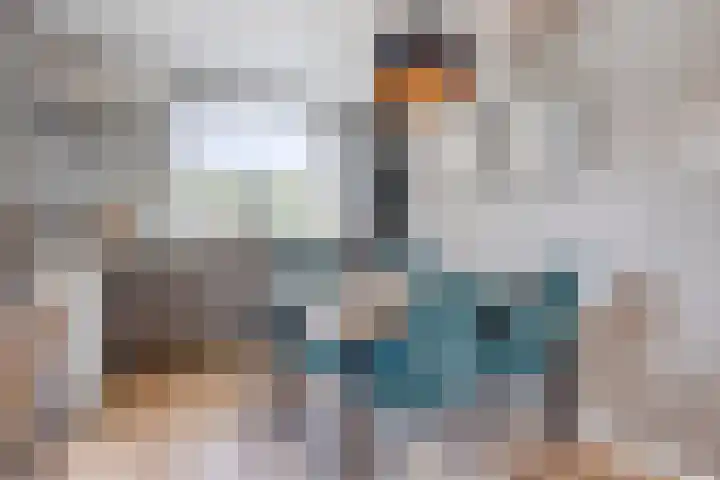 Schoneveld 4 Breskens thumbnail 8