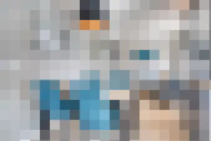 Schoneveld 4 Breskens thumbnail 9