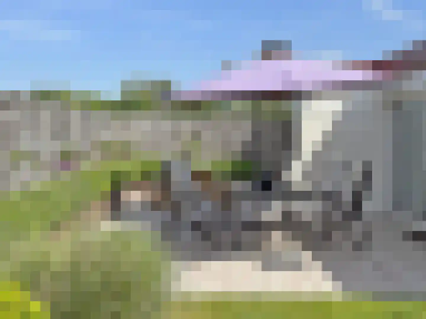Schoneveld 45 Breskens thumbnail 25