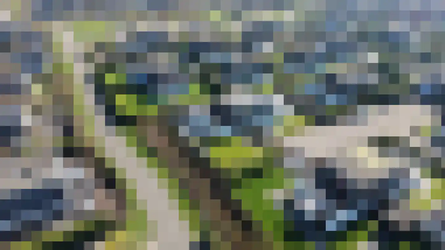 Schoneveld 45 Breskens thumbnail 26
