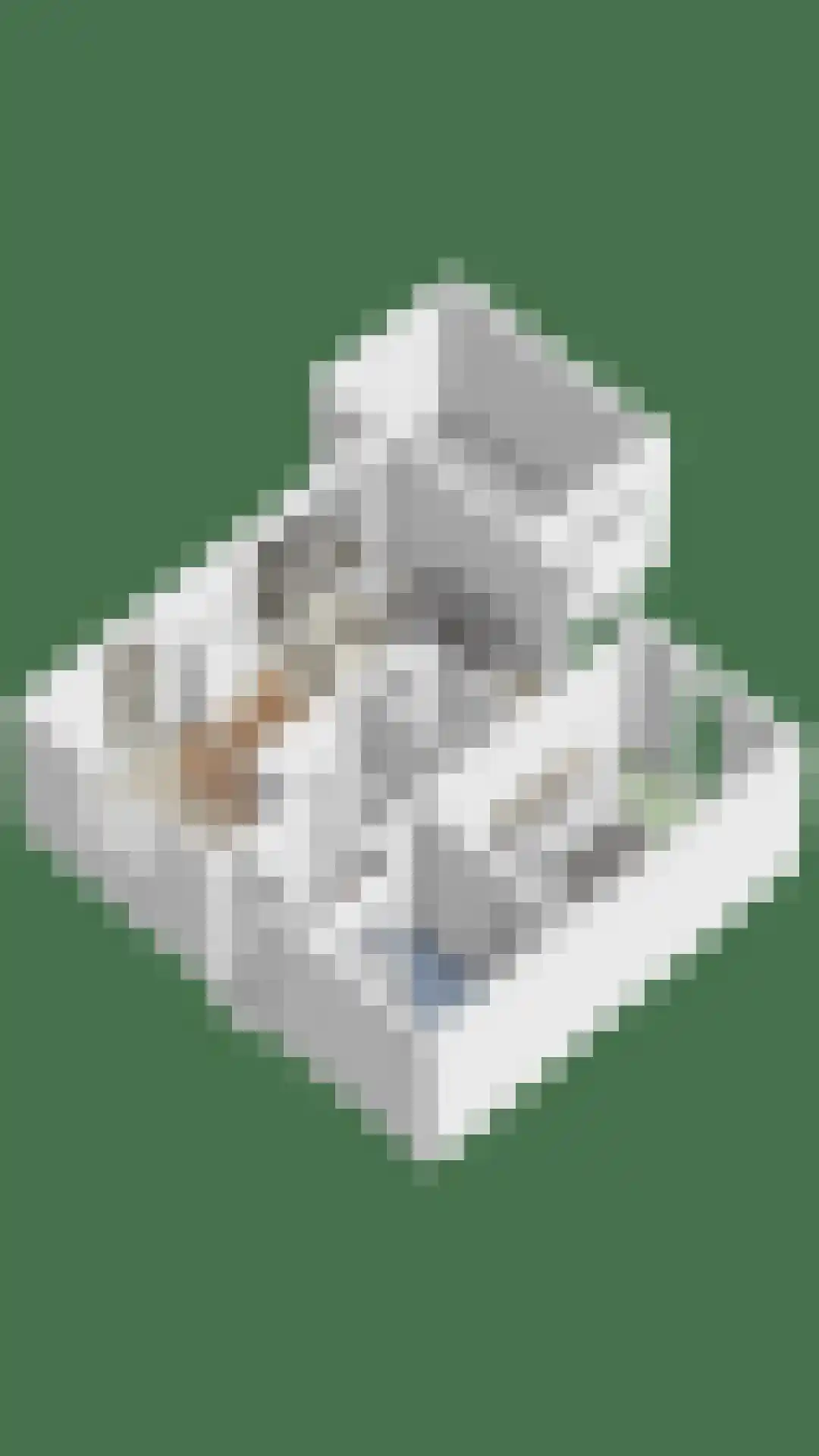 Schoneveld 45 Breskens thumbnail 32