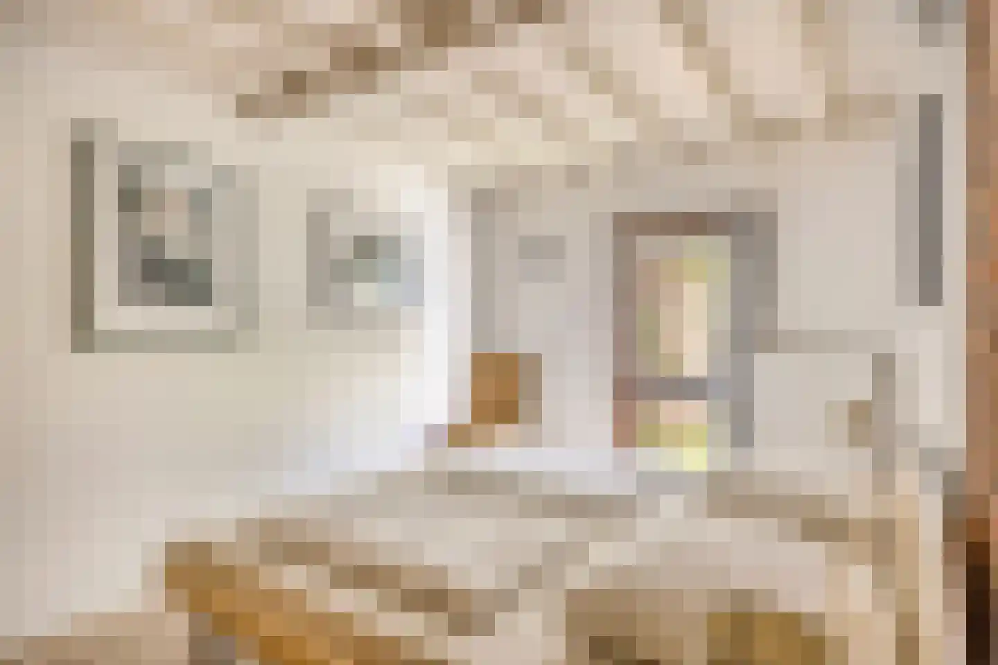 Schoneveld 66 Breskens thumbnail 11