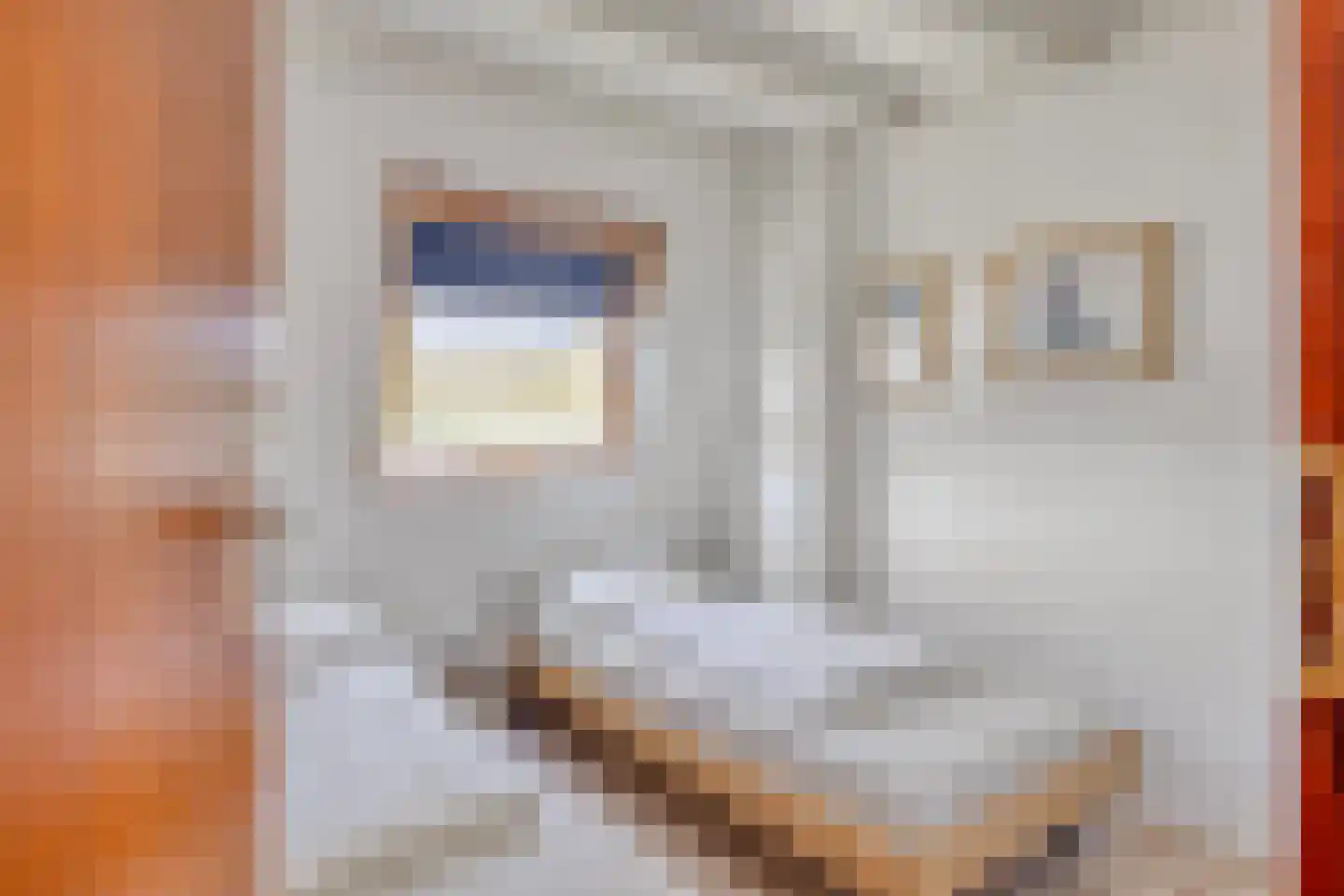 Schoneveld 66 Breskens thumbnail 18
