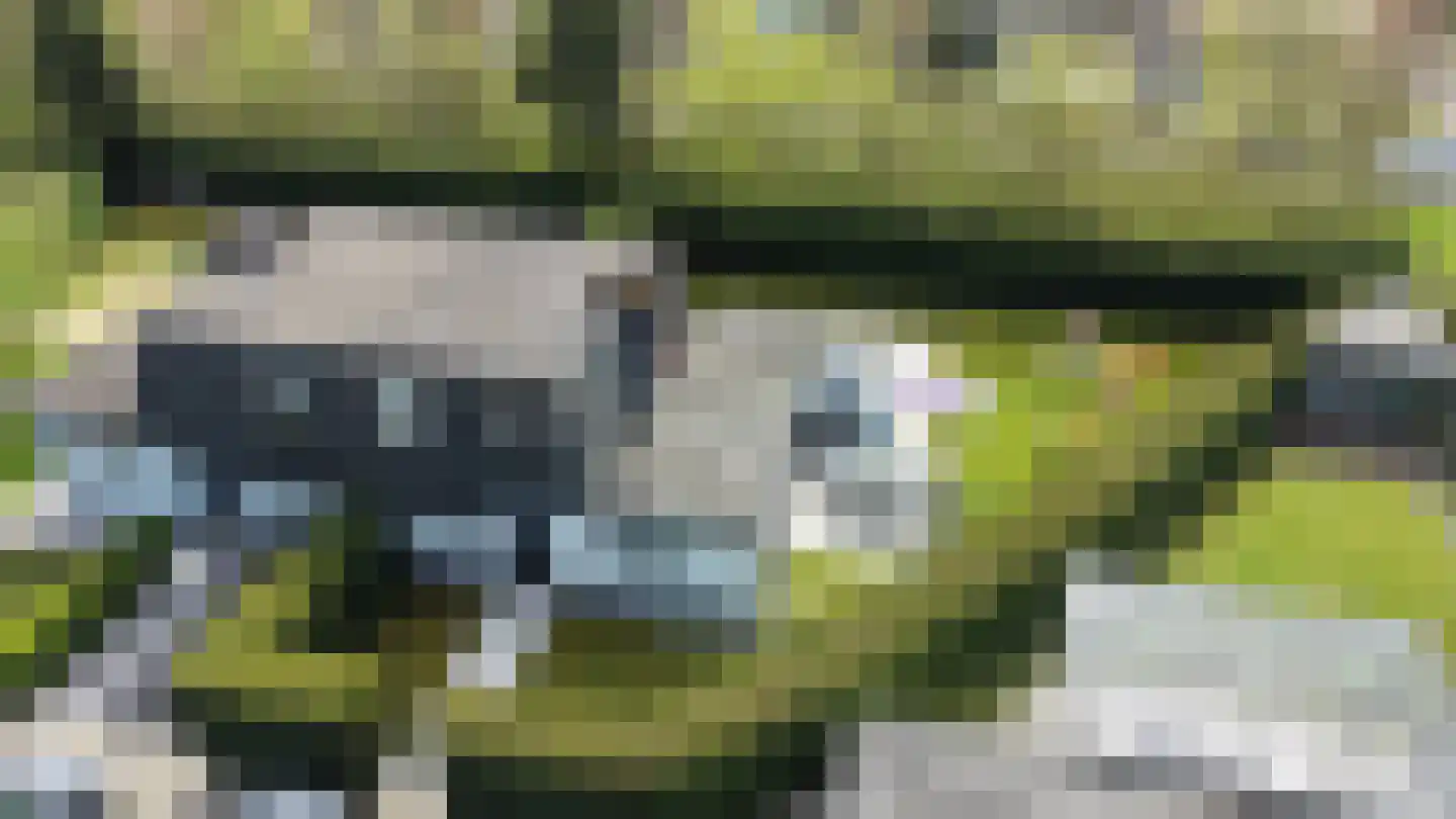 Schoneveld 66 Breskens thumbnail 26