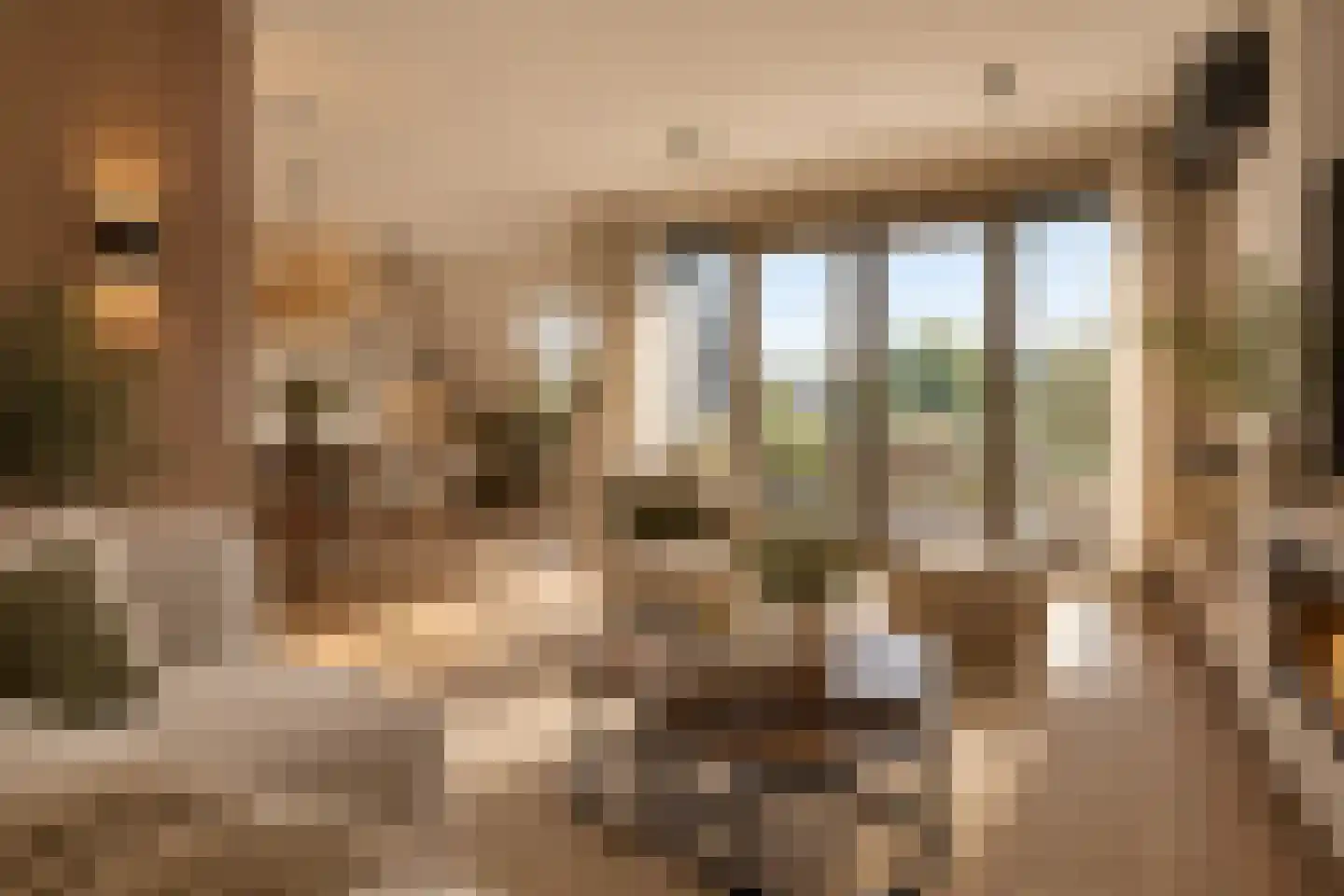 Schoneveld 69 Rhenen thumbnail 13