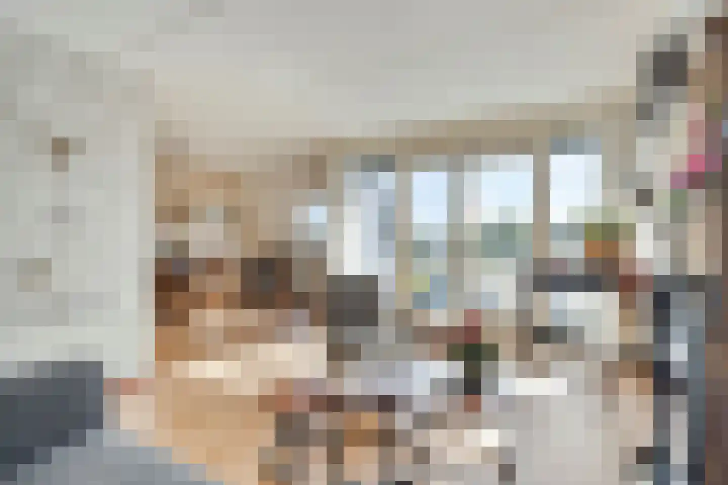 Schoneveld 69 Rhenen thumbnail 14