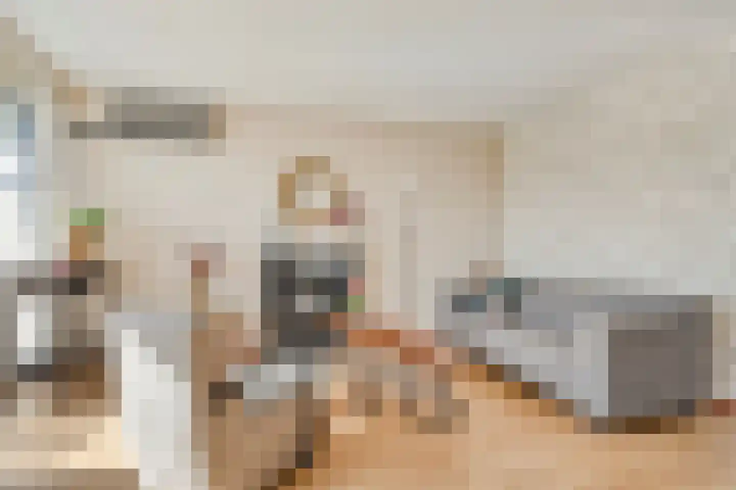 Schoneveld 69 Rhenen thumbnail 15