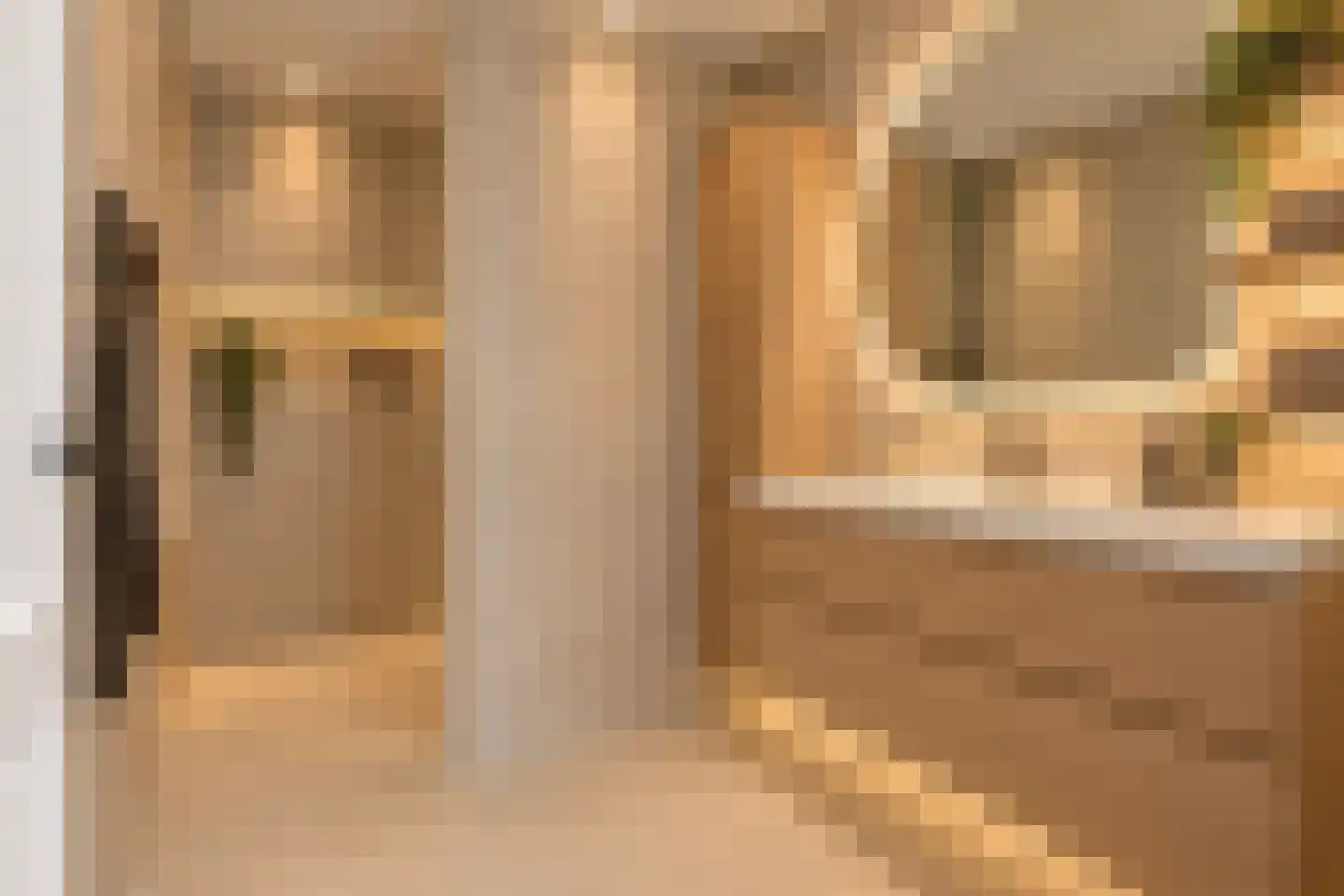 Schoneveld 69 Rhenen thumbnail 24