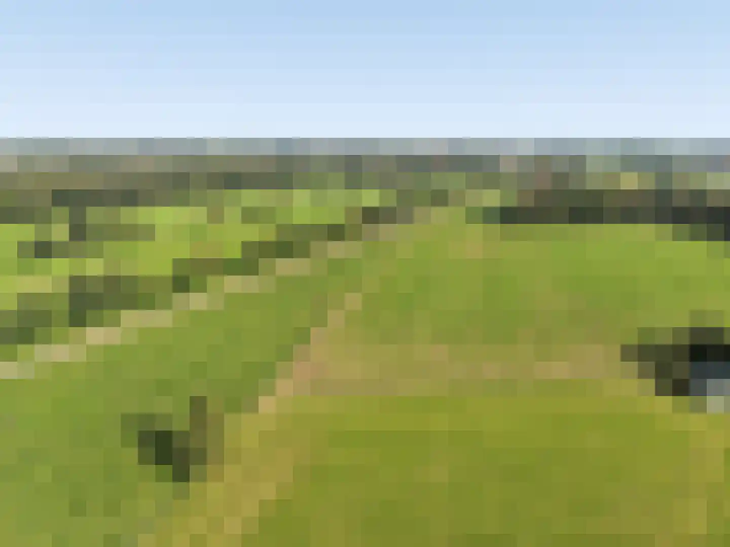 Schoneveld 73 Rhenen thumbnail 27