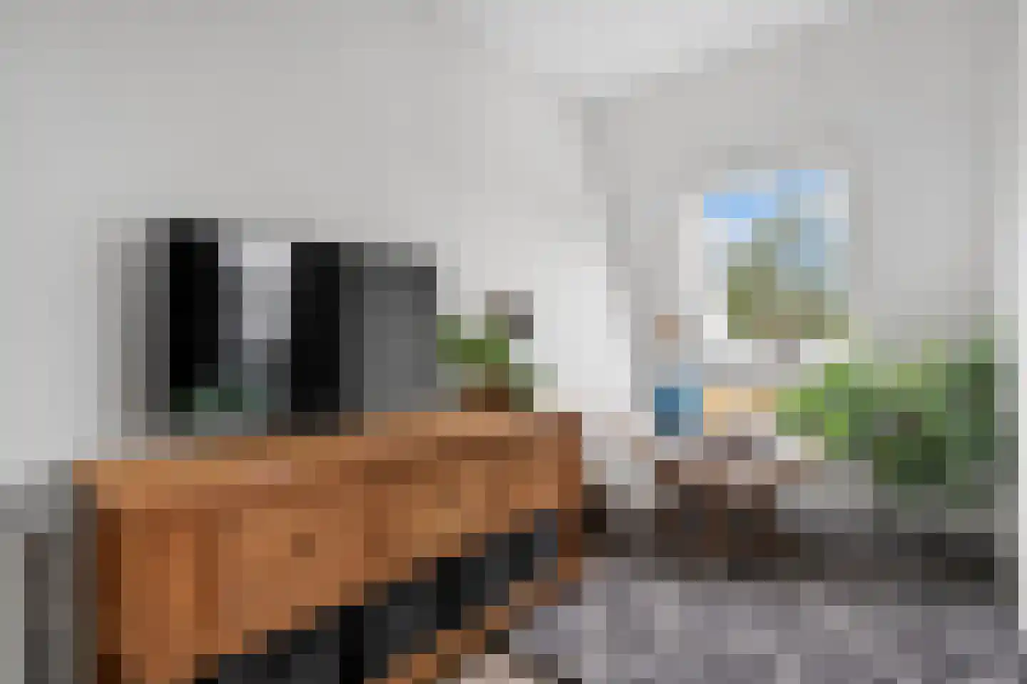 Schoneveld 85 Rhenen thumbnail 10