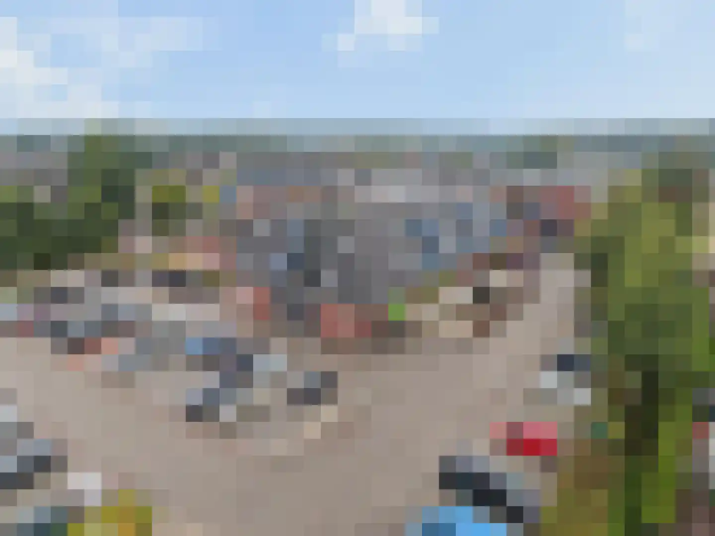 Schoneveld 85 Rhenen thumbnail 21