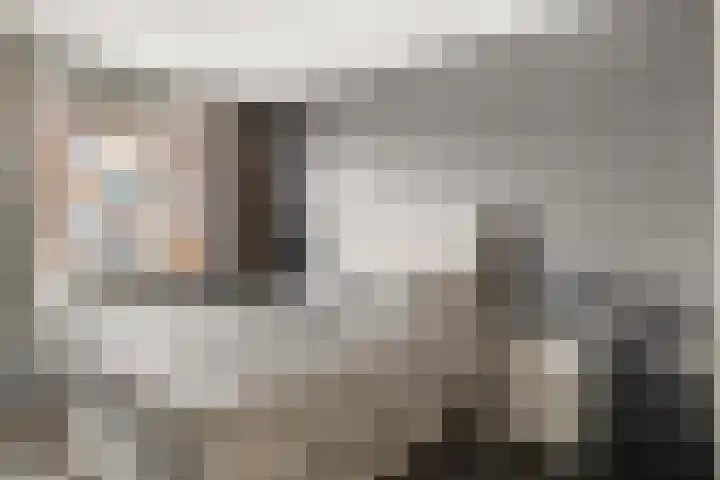 Schoneveld 91 Rhenen thumbnail 20