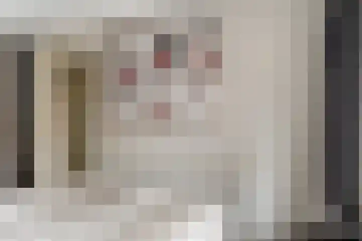 Schoneveld 91 Rhenen thumbnail 21
