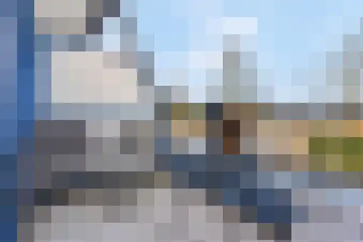 Schoneveld 91 Rhenen thumbnail 26