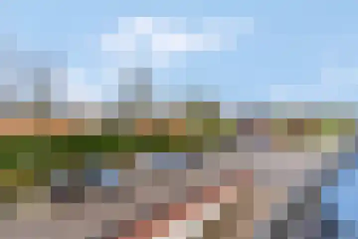 Schoneveld 91 Rhenen thumbnail 28