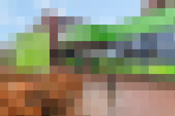 Schoneveld 91 Rhenen thumbnail 32