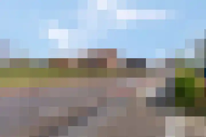 Schoneveld 91 Rhenen thumbnail 33