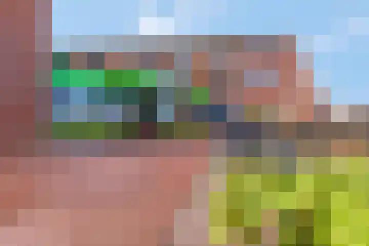 Schoneveld 91 Rhenen thumbnail 5