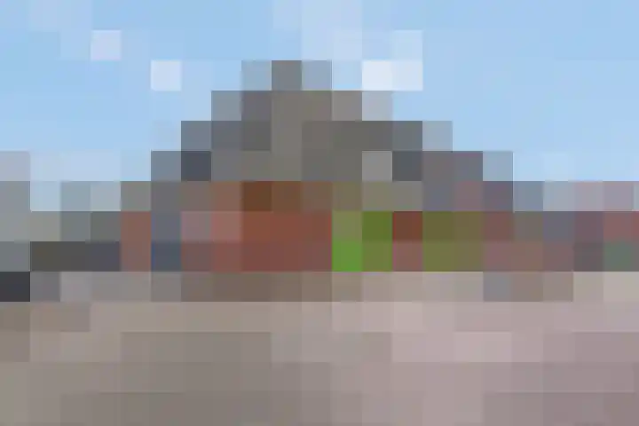 Schoneveld 91 Rhenen thumbnail 6