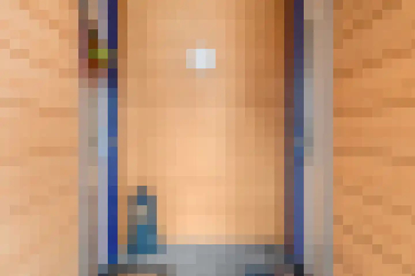 Schoneveld 91 Rhenen thumbnail 7
