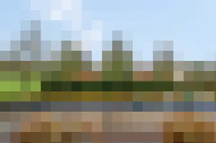 Schoneveld 95 Rhenen thumbnail 19