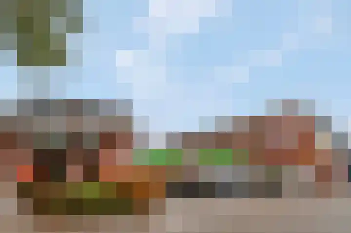 Schoneveld 95 Rhenen thumbnail 25