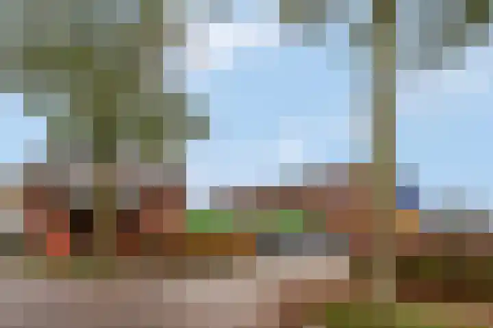 Schoneveld 95 Rhenen thumbnail 26
