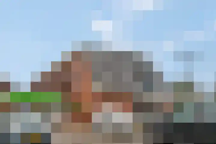 Schoneveld 95 Rhenen thumbnail 27