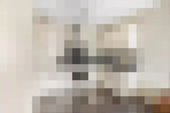 Schoneveld 95 Rhenen thumbnail 8