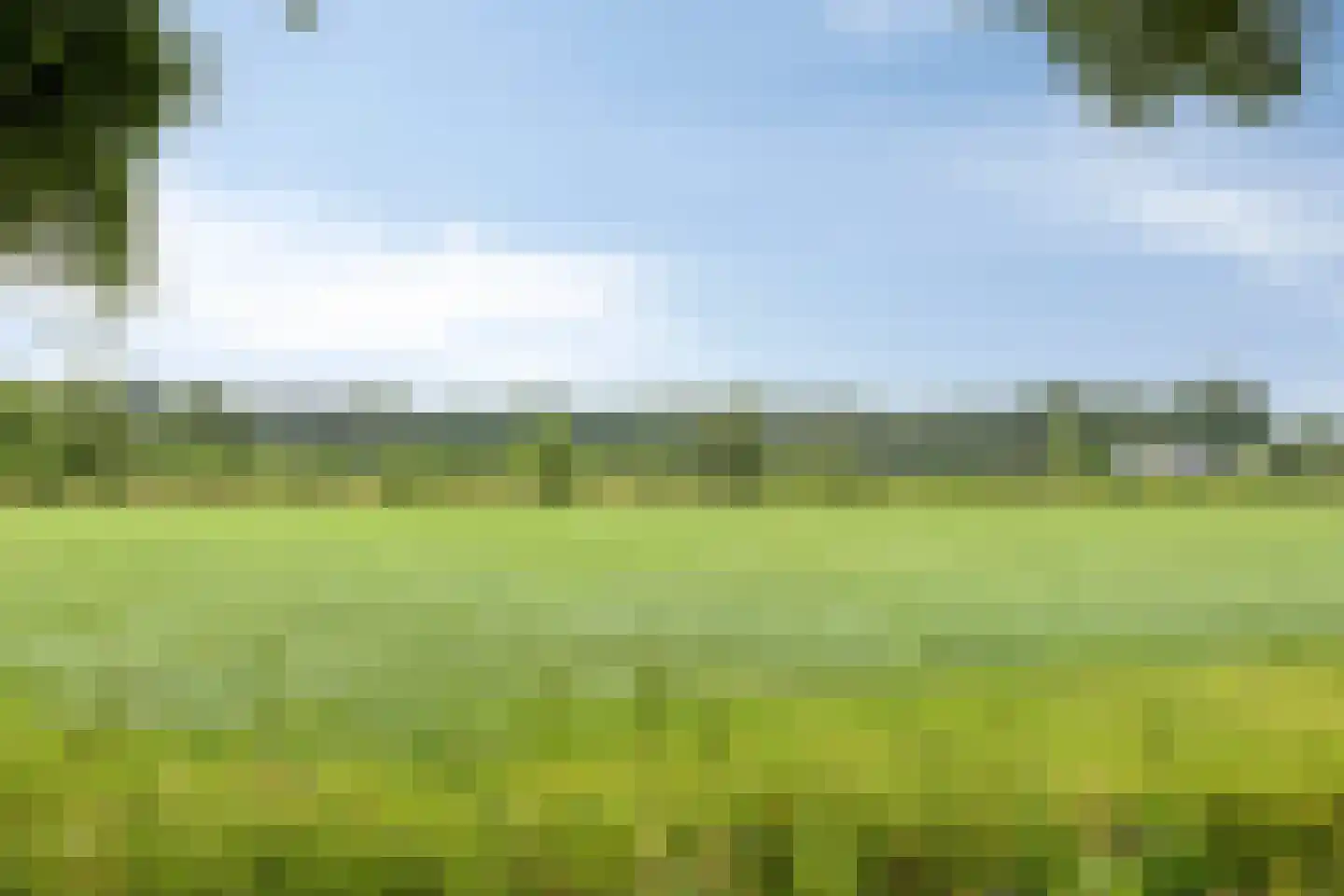 Schoneveldsdijk 26 a Barchem thumbnail 7