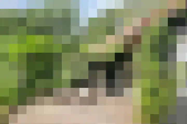 Schoneveldsdijk 28 Barchem thumbnail 10