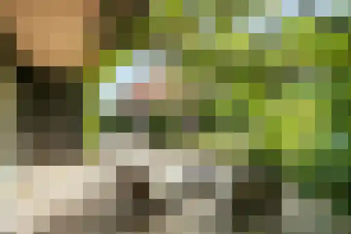 Schoneveldsdijk 28 Barchem thumbnail 11
