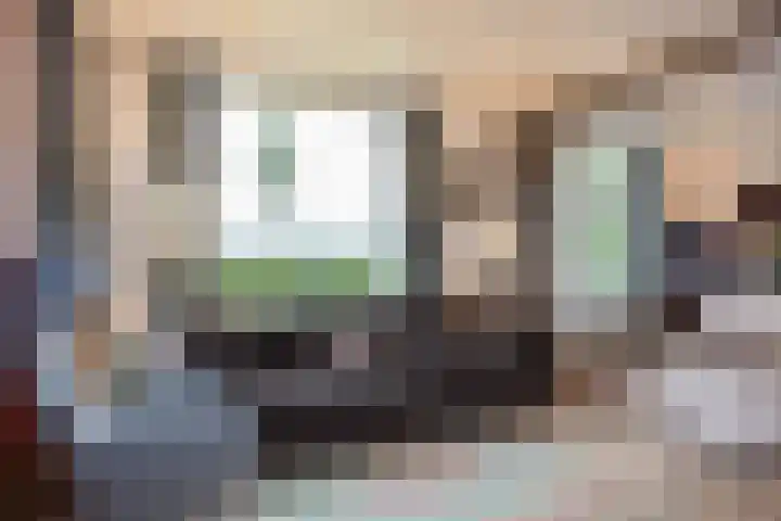 Schoneveldsdijk 28 Barchem thumbnail 18
