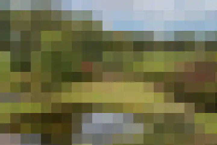 Schoneveldsdijk 28 Barchem thumbnail 38