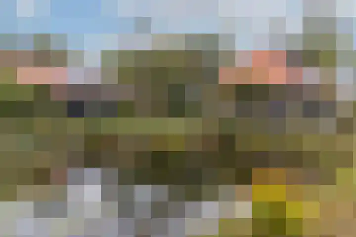 Schoneveldsdijk 28 Barchem thumbnail 4