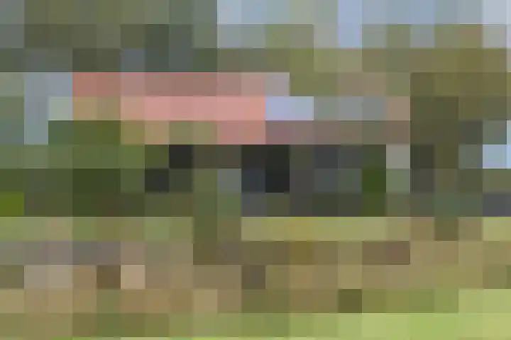 Schoneveldsdijk 28 Barchem thumbnail 43