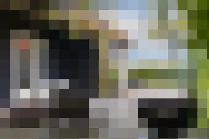 Schoneveldsdijk 28 Barchem thumbnail 44