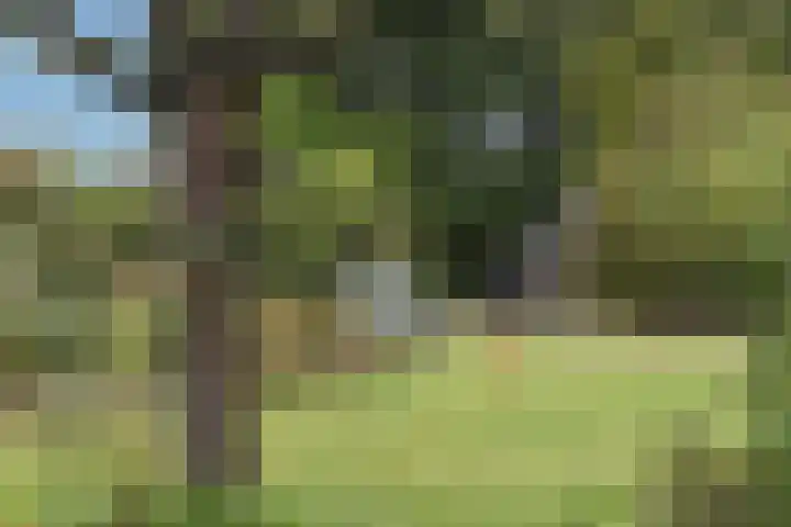Schoneveldsdijk 28 Barchem thumbnail 47