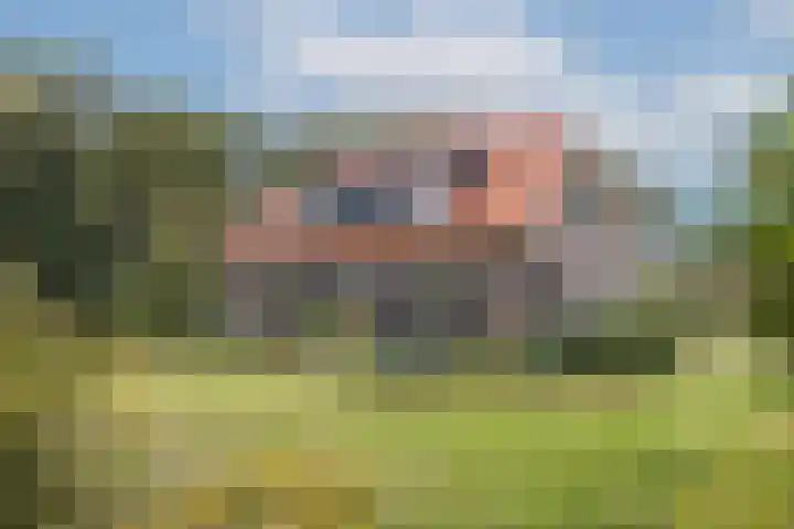 Schoneveldsdijk 28 Barchem thumbnail 6