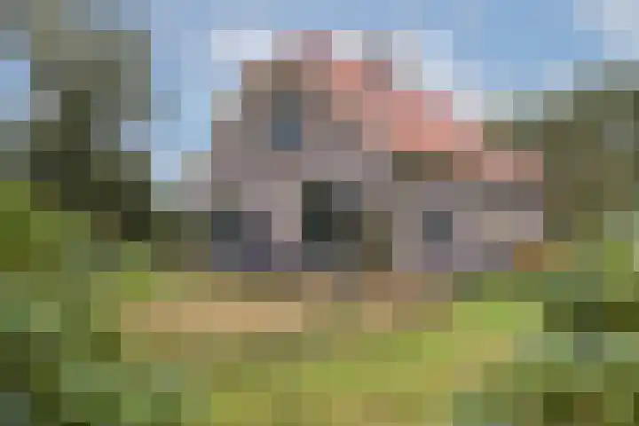Schoneveldsdijk 28 Barchem thumbnail 7